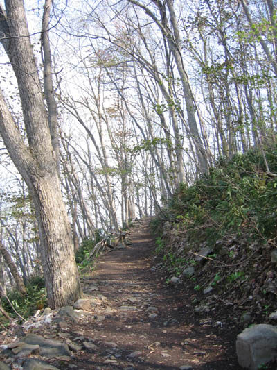 平和塔山道A.jpg