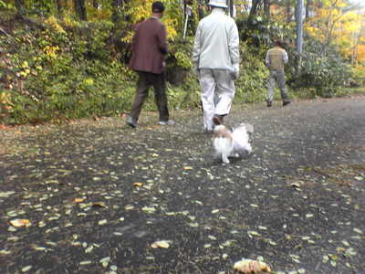 DSC00578niseko.JPG