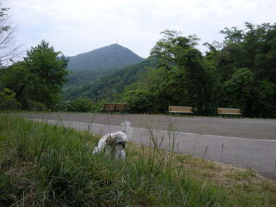 DSCN2692.JPG