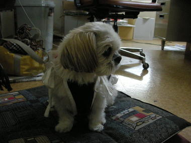 DSCN3510.JPG