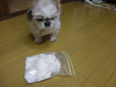 DSCN4178.JPG