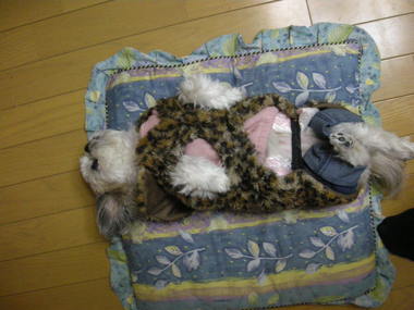 DSCN4355.JPG