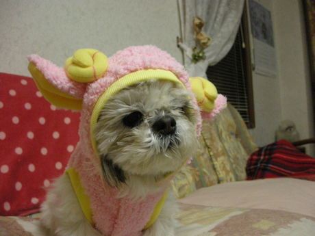 DSCN4600.JPG