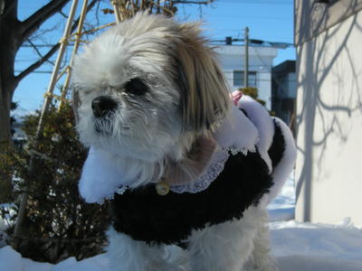 DSCN4650.JPG