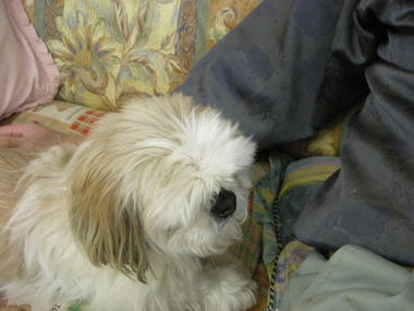 DSCN5486.JPG