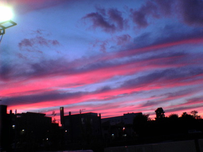 DSC04650.JPG