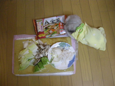 DSCN6904.JPG
