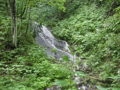 DSCN7098.JPG
