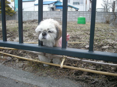 DSCN5885.JPG