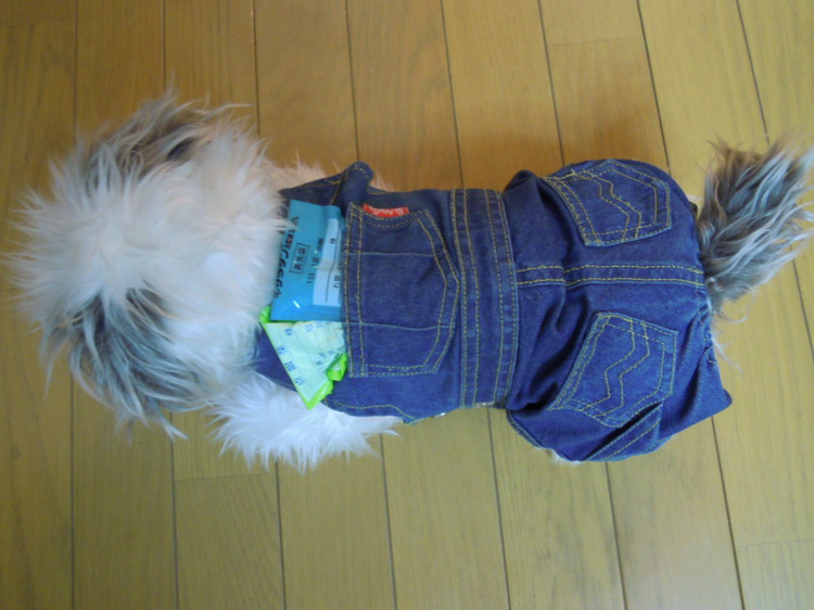 DSCN0047.JPG