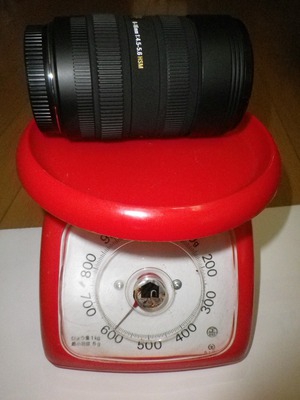 IMGP4250.jpg