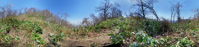 s-IMGP2094 Panorama.jpg