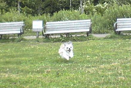 20121014whaaa.jpg