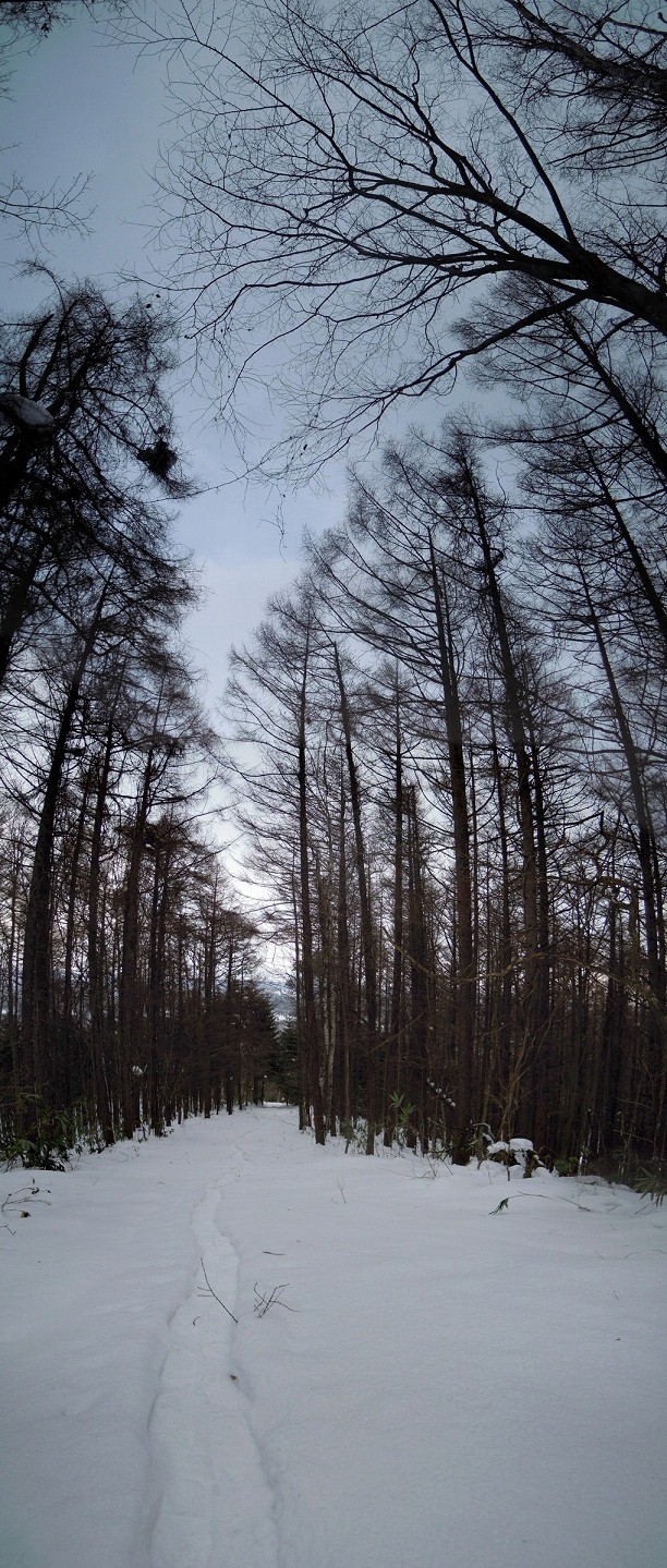 4sapporodai20121231.jpg