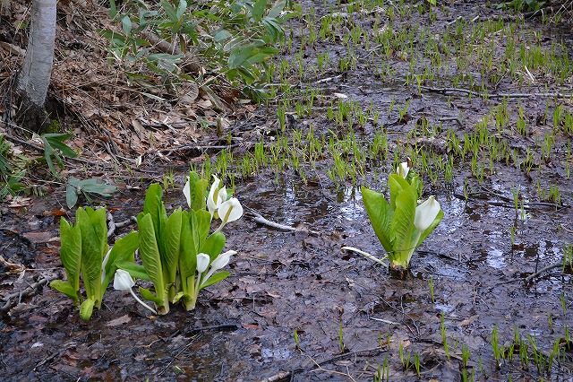 ５DSC_0900.jpg