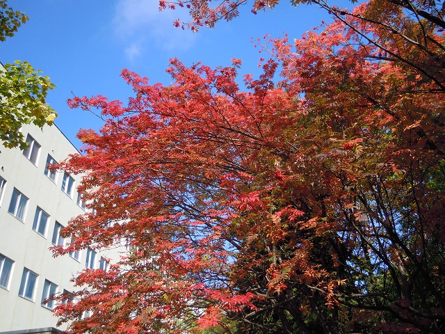 2DSCN0013.jpg