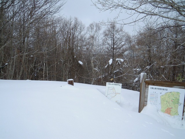 4DSCN9845.jpg