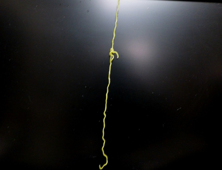01P1000268.jpg