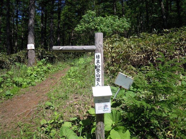 1jDSCN0190.jpg