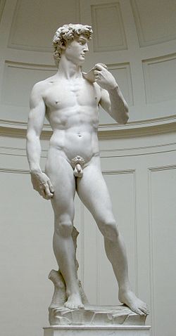 250px-David_von_Michelangelo.jpg