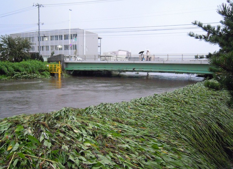 3DSCN0889.jpg