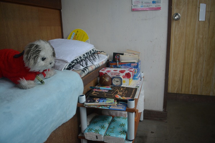 5DSC_0315.jpg