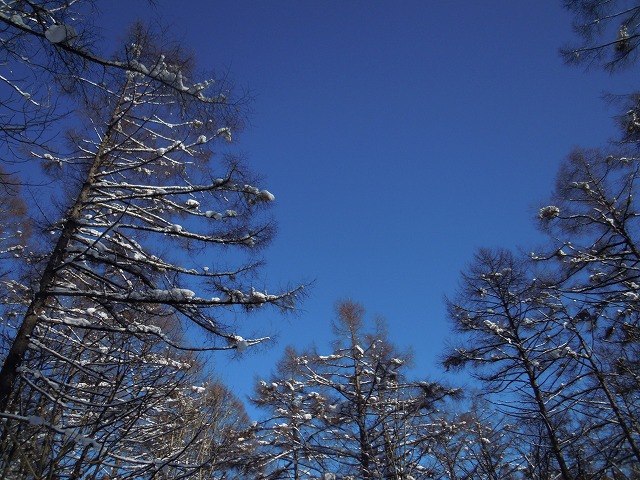 DSCN0166.jpg