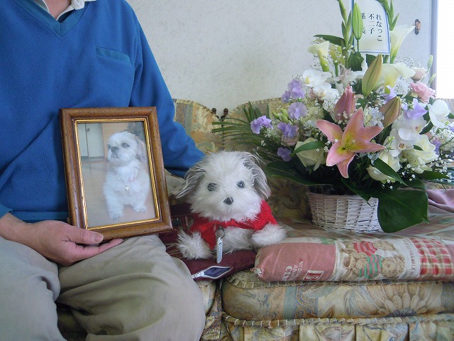 DSCN9823.jpg
