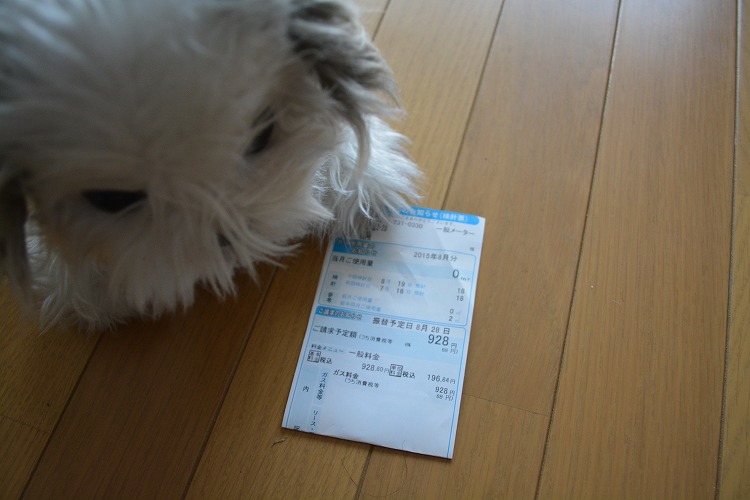 001DSC_0277.jpg