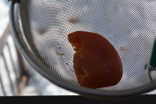 03DSC_0784.jpg