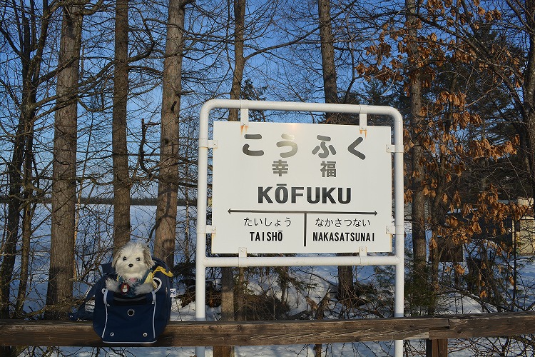 03DSC_0870.jpg