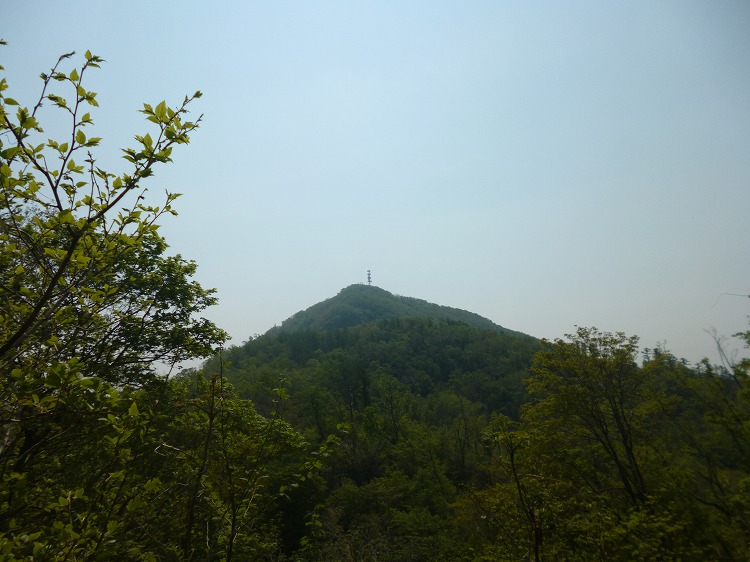 04P1030456.jpg