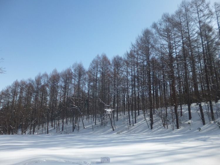 18P1030065.jpg
