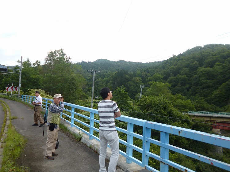 01P1060238.jpg