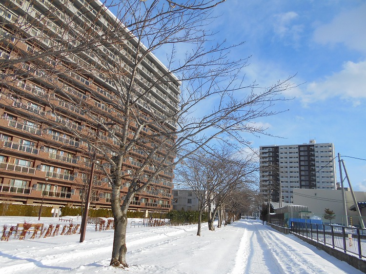 DSCN0544.jpg
