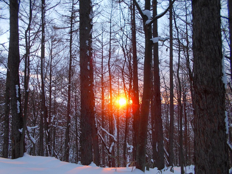 DSCN0610.jpg