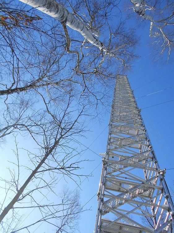 DSCN2908.jpg