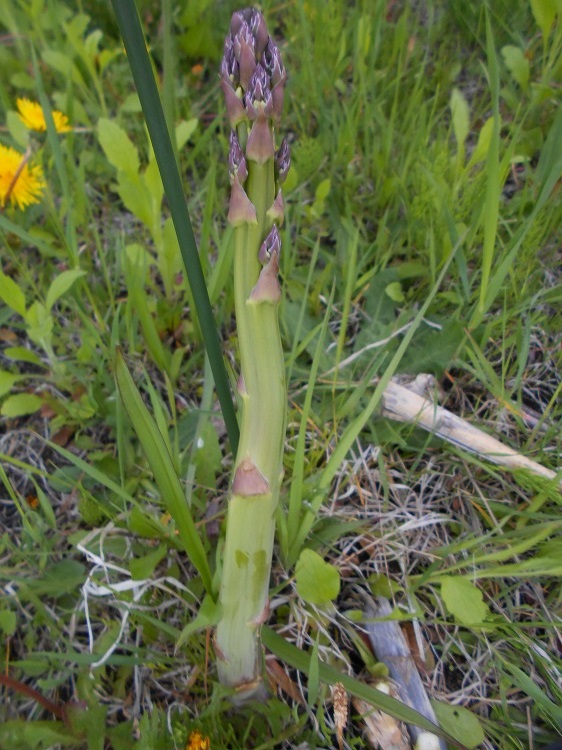 DSCN3977.jpg
