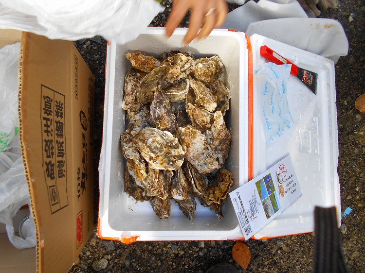 DSCN4705.jpg