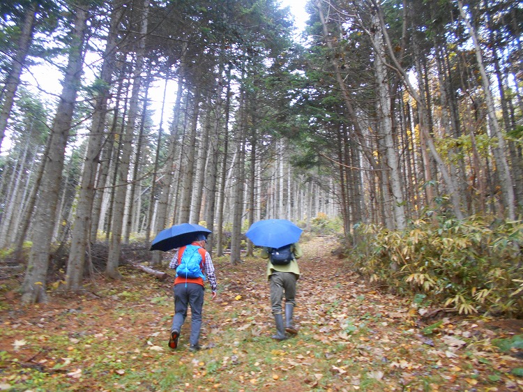 DSCN4838.jpg