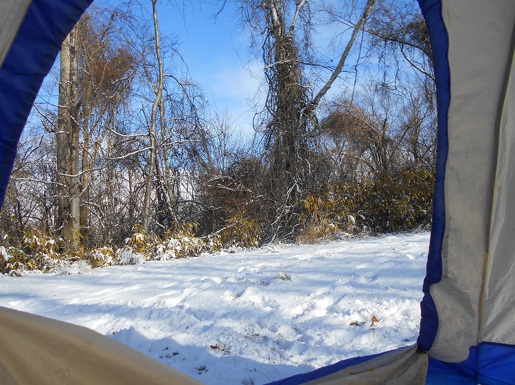 DSCN5132.jpg