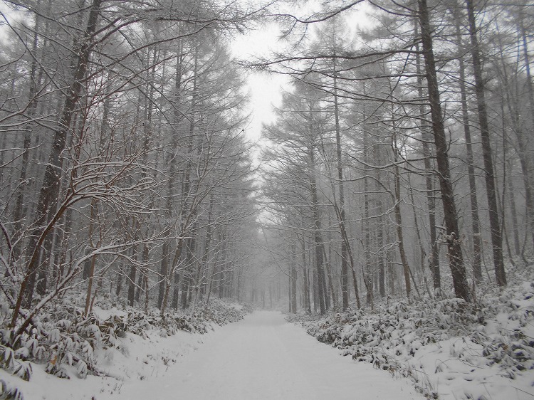 DSCN5183.jpg