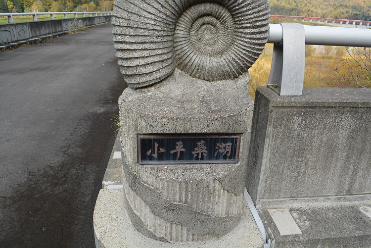 DSC_0041a.jpg