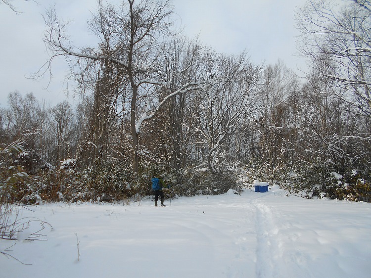 DSCN5313.jpg
