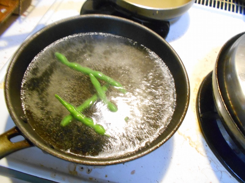 DSCN5535.jpg