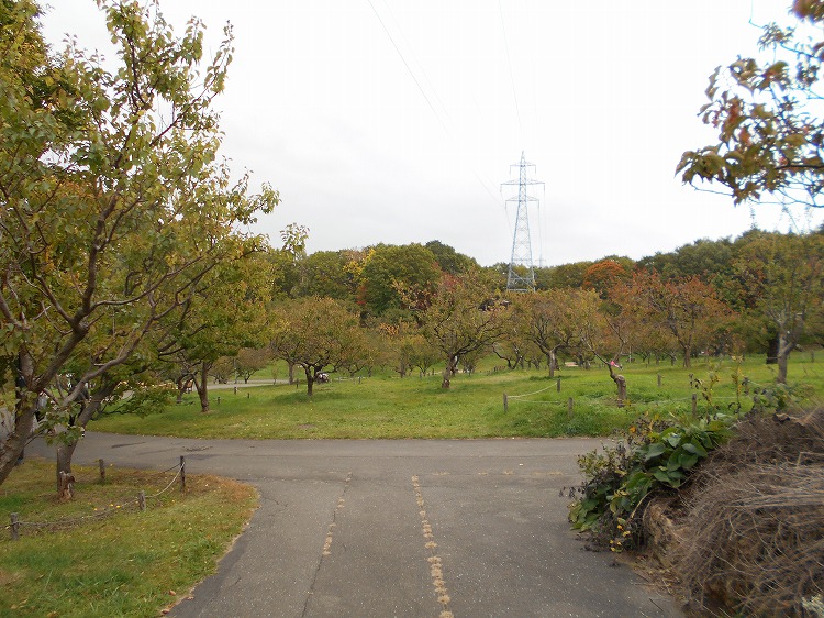 DSCN7252.jpg