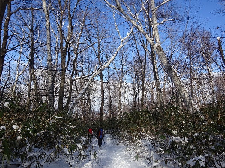 DSC01657.jpg