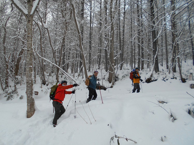 DSCN7870.jpg