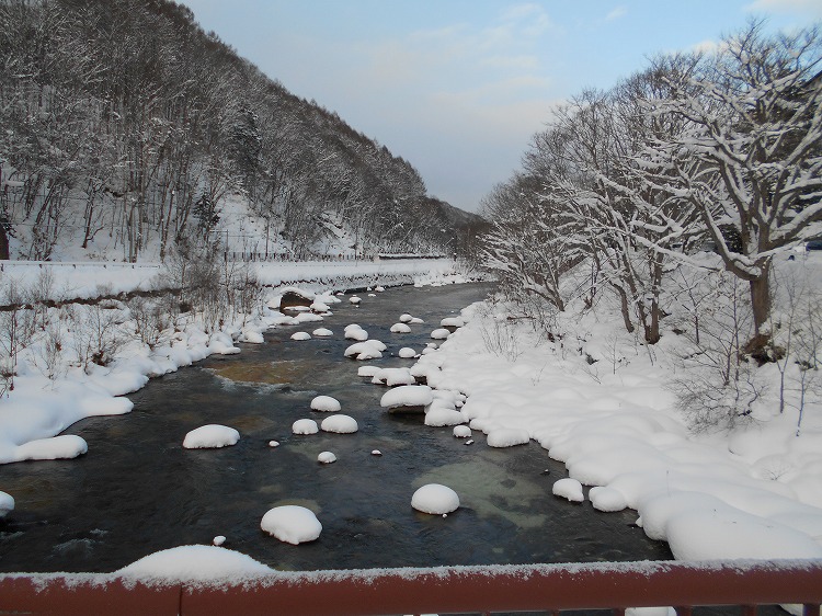 DSCN7944.jpg