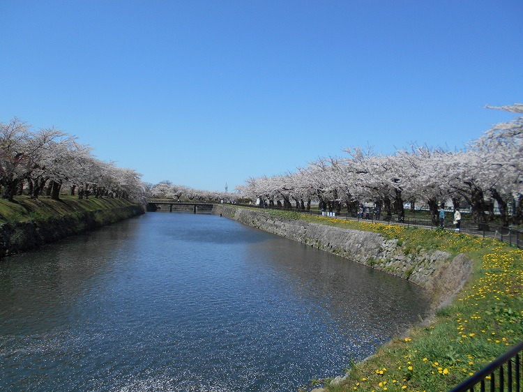 DSCN8608.jpg